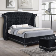  Coaster Furniture Barzini 300643Q Upholstered Queen Wingback Bed - Black IMAGE 1