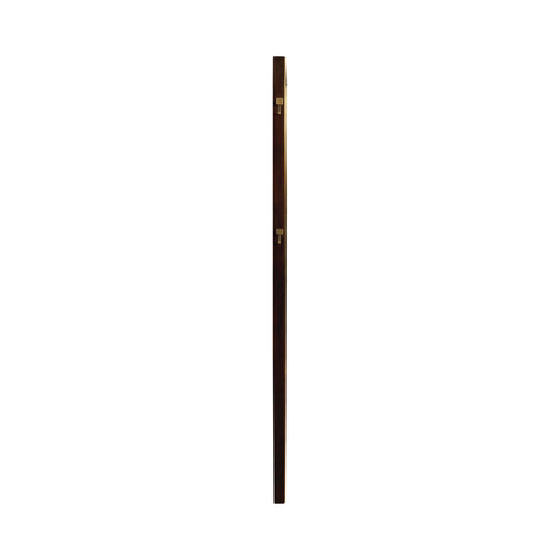  Coaster Furniture Durango 223270 80-inch Standing Floor Mirror - Smoked Peppercorn IMAGE 2