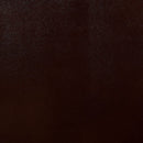 Furniture of America Jeanna Leather Look Recliner CM6343-CH IMAGE 3