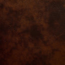 Furniture of America Winslow Reclining Leather Loveseat CM6556L-CT IMAGE 4