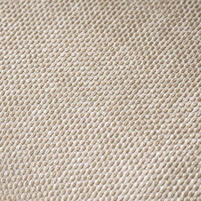 Furniture of America Catarina Stationary Fabric Loveseat SM2287-LV IMAGE 8