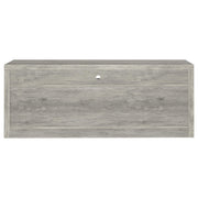 Coaster Furniture Burke 701024-SET 3-Piece Entertainment Center - Grey Driftwood IMAGE 6