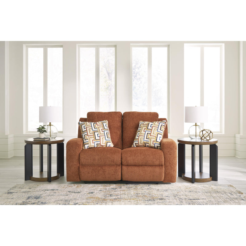  Signature Design by Ashley Danum 3880786 Reclining Loveseat IMAGE 6