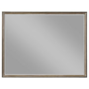  Coaster Furniture Durango 223274 Dresser Mirror - Taupe Oak IMAGE 2