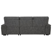  Coaster Furniture Demko 500355 Sleeper Sectional Sofa with Speaker and Storage Chaise - Granite IMAGE 10