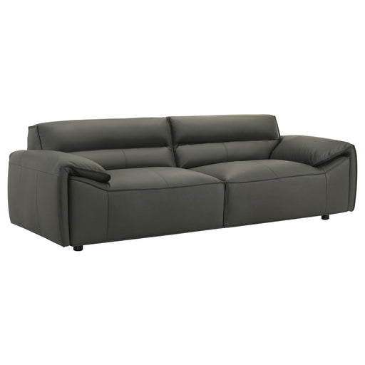  Coaster Furniture Buxton 509504 Top Grain Leather Upholstered Sofa - Graphite IMAGE 1