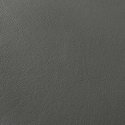 Coaster Furniture Buxton 509504 Top Grain Leather Upholstered Sofa - Graphite IMAGE 9